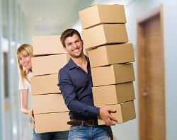 Profitable Packing Company in Kingston