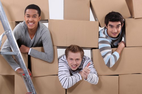 Professional mover handling a small house move in Kingston
