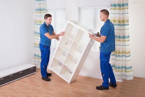 Professional movers handling household items during a move