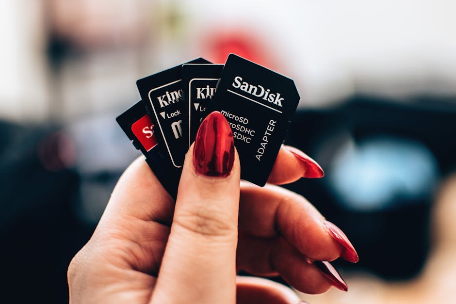 A close-up of a person's hand with long, painted, dark red fingernails holding several SD and microSD memory cards, including brands like Kingston and SanDisk, with some cards showing labels such as 'Lock' and 'Adapter'. The background appears blurred, suggesting an indoor setting, possibly near a computer or camera equipment, with the focus on the memory cards and the grip. This image relates to data storage and transfer, which can be connected to the packing and organizing process involved in house removals or home relocation services offered by Kingston Removals, as seen on their website page about same-day removals dealing with urgent move delays in Kingston.